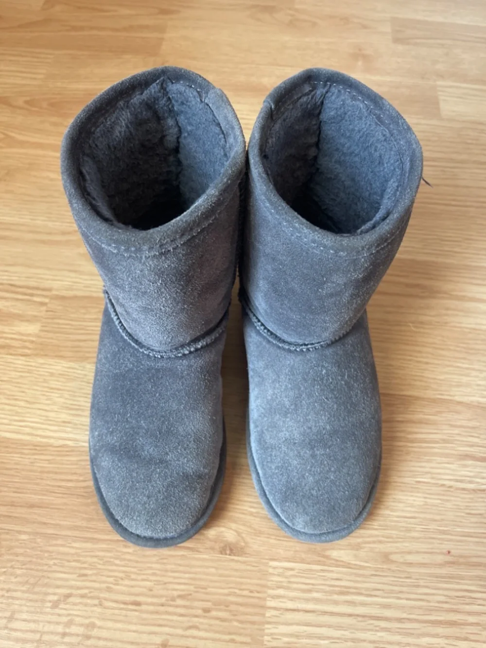 BearPaw good pre